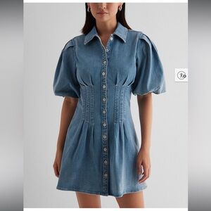 Express Blue Denim Puff Sleeve Dress